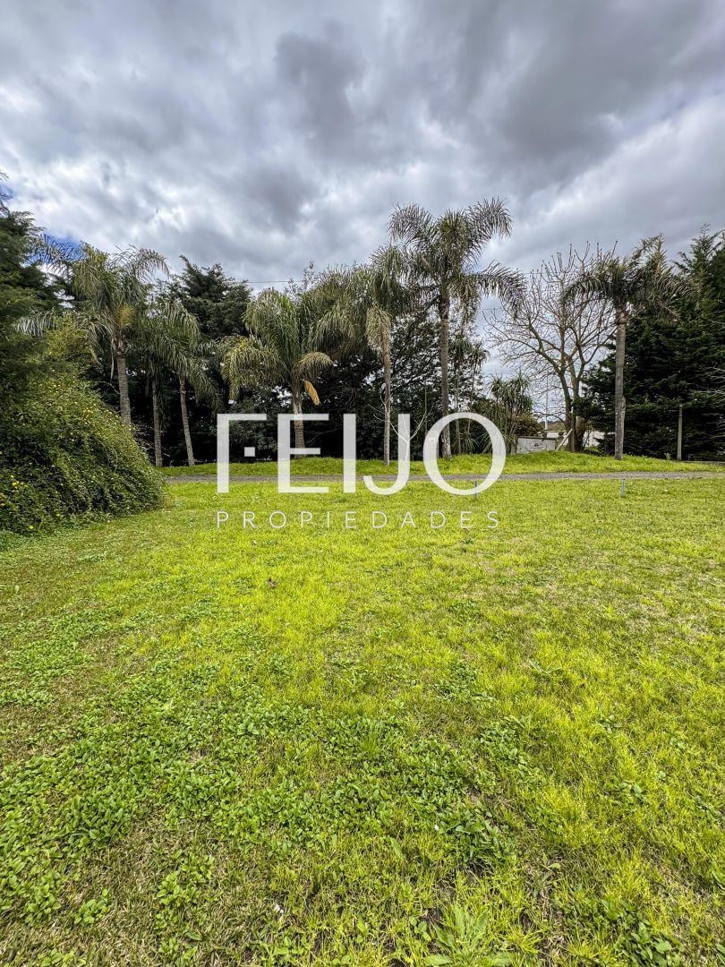 Foto de Lote . | RUTA 53, imagen 5