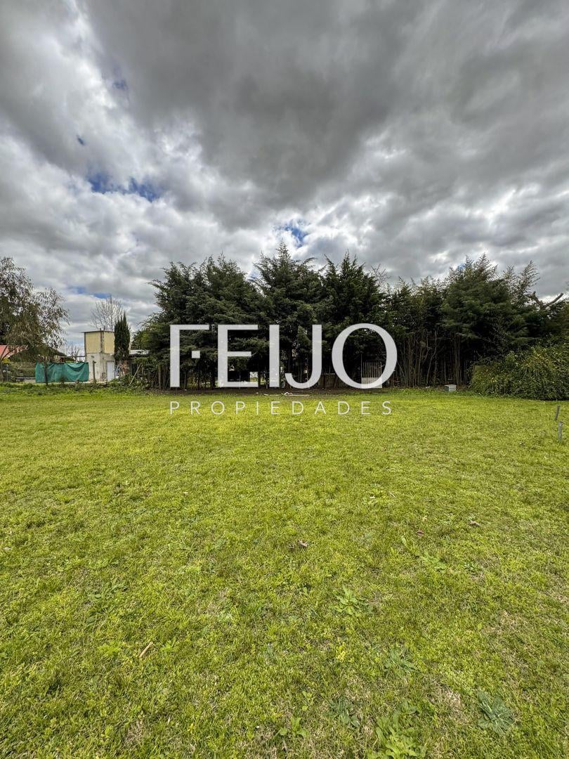 Foto de Lote . | RUTA 53, imagen 1