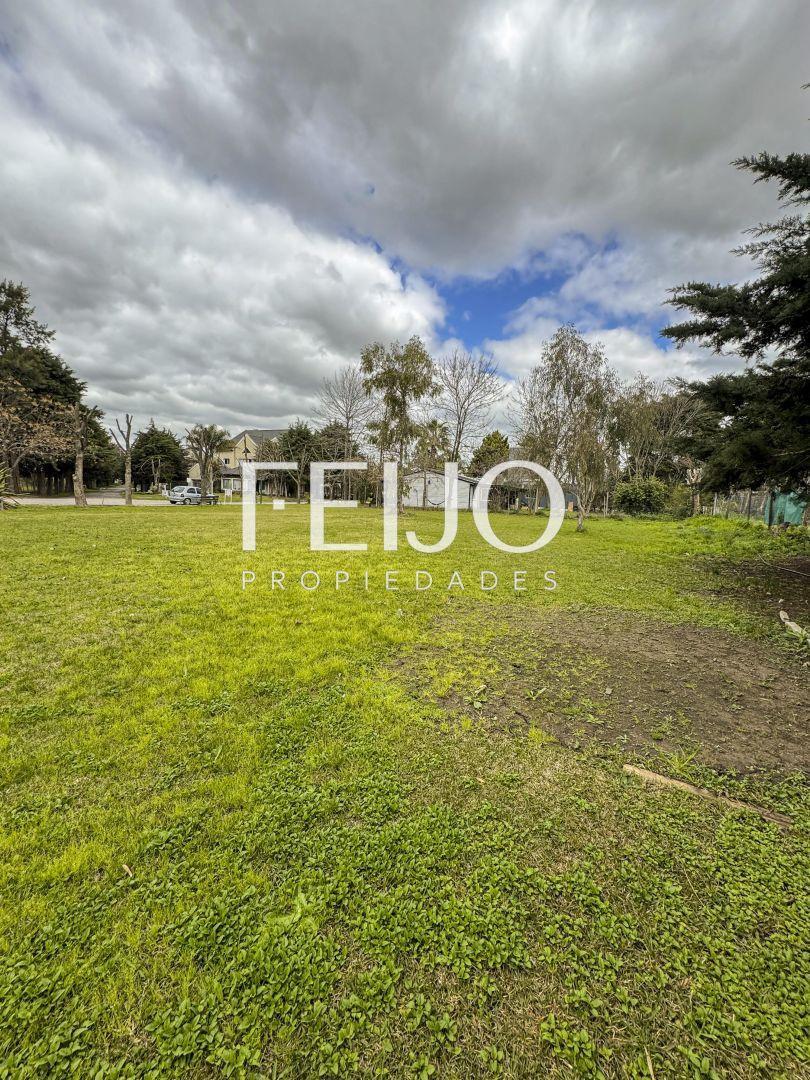 Foto de Lote . | RUTA 53, imagen 4
