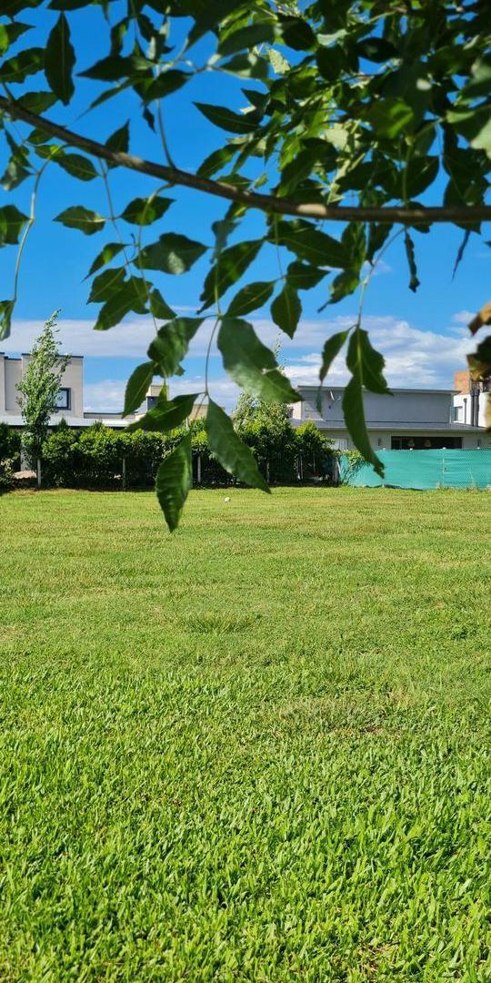 LOTE en Quinta Azucena