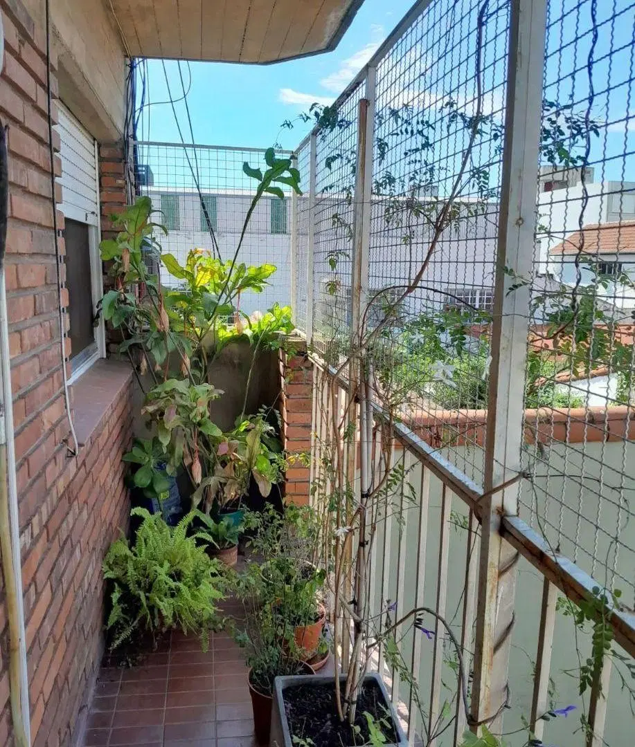 Venta depto 3 ambientes con balcon en Martinez 5