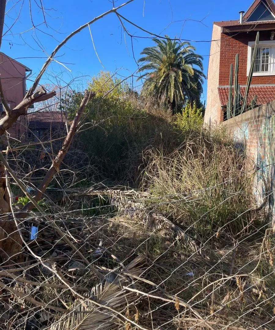 Oportunidad excelente lote comercial en Benavidez 4