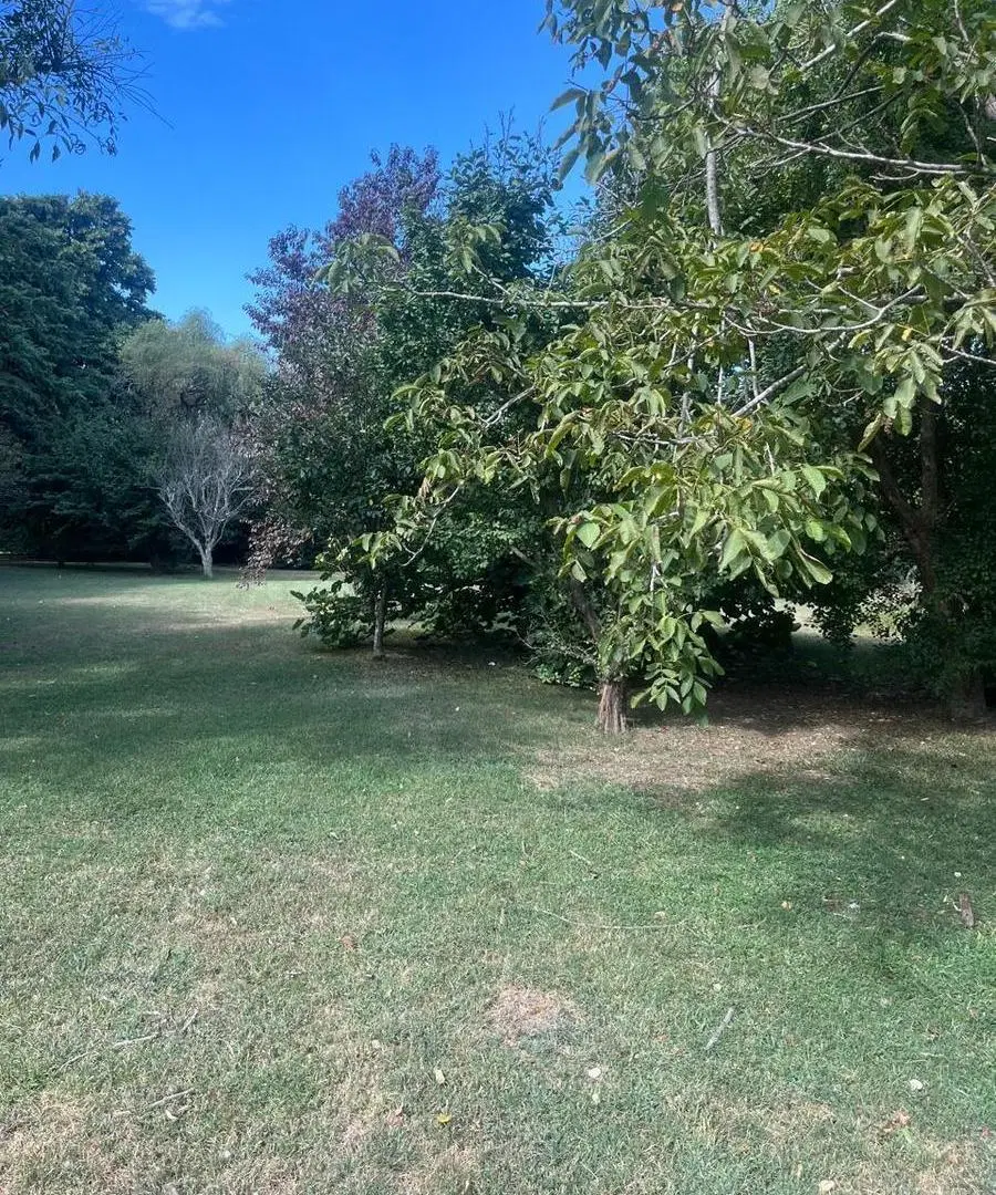 LOTE y LOTE C/CASA OLD MAN y TATAN-ESCOBAR 3
