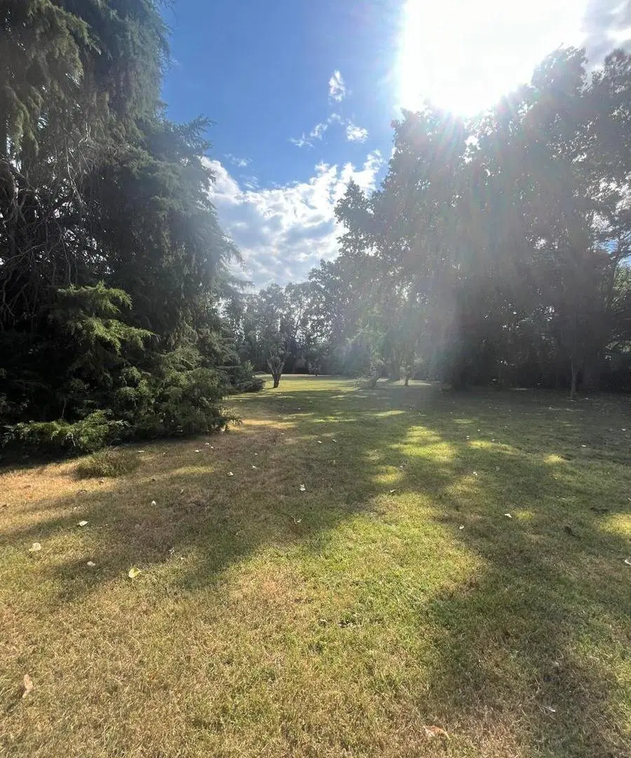 LOTE y LOTE C/CASA OLD MAN y TATAN-ESCOBAR 5