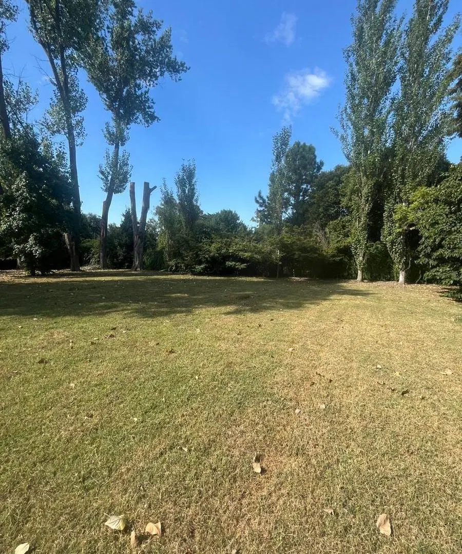 LOTE y LOTE C/CASA OLD MAN y TATAN-ESCOBAR 4