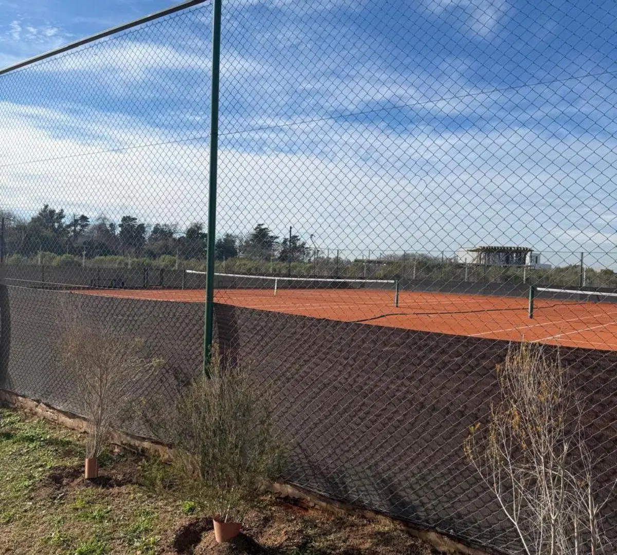 Lote en Bella Vista Joven 8