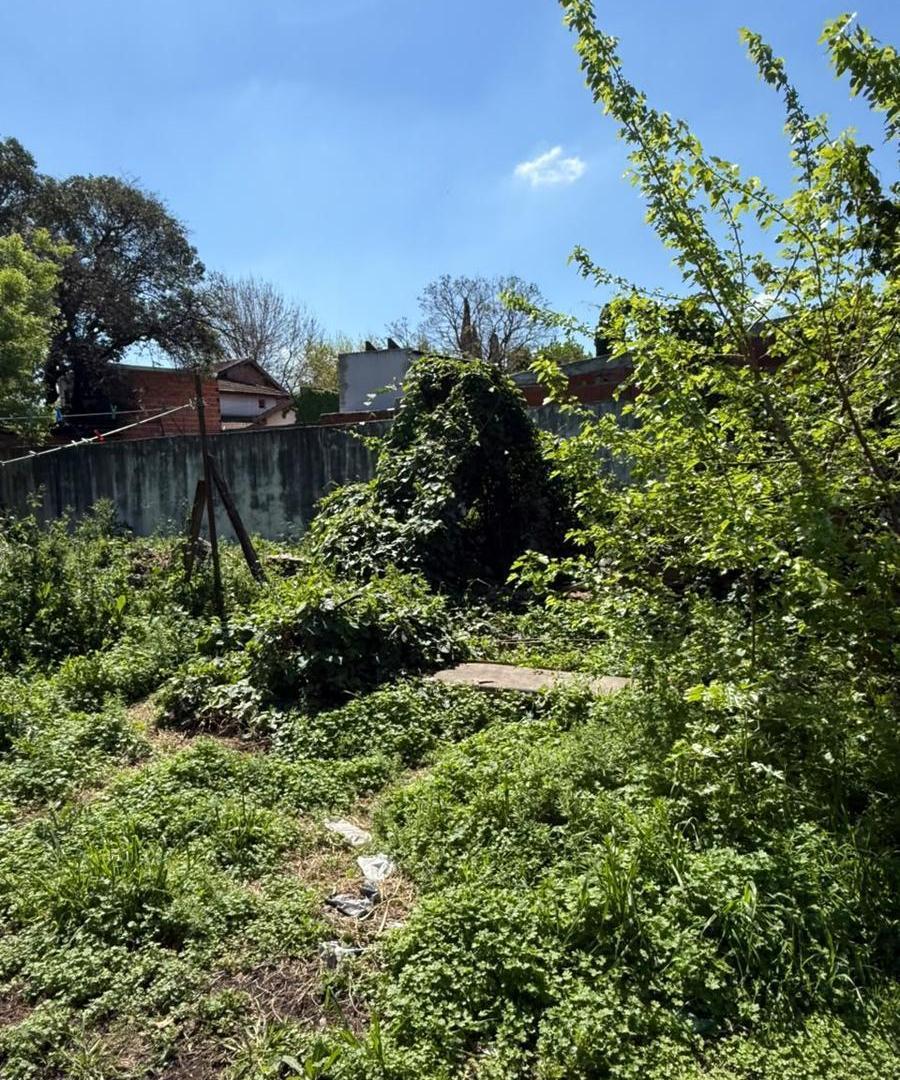Foto de Terreno Lote en San Miguel, imagen 5