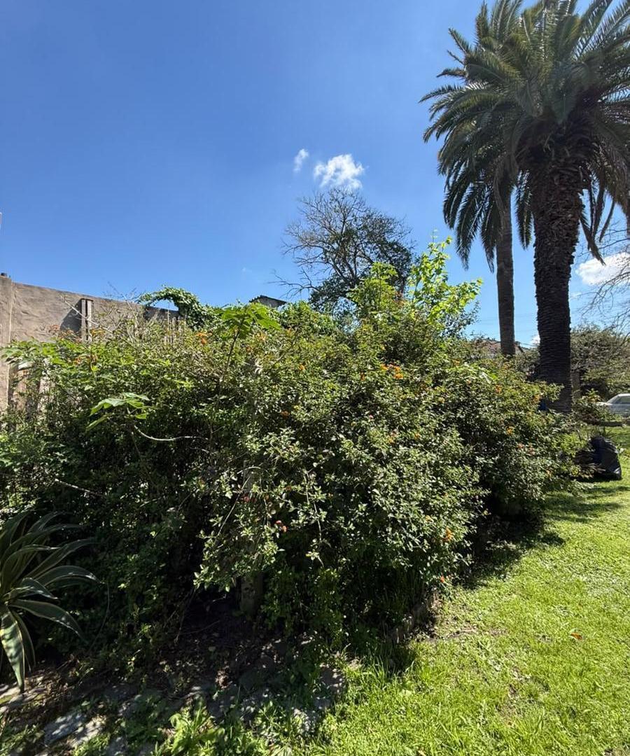 Foto de Terreno Lote en Muñiz, imagen 1