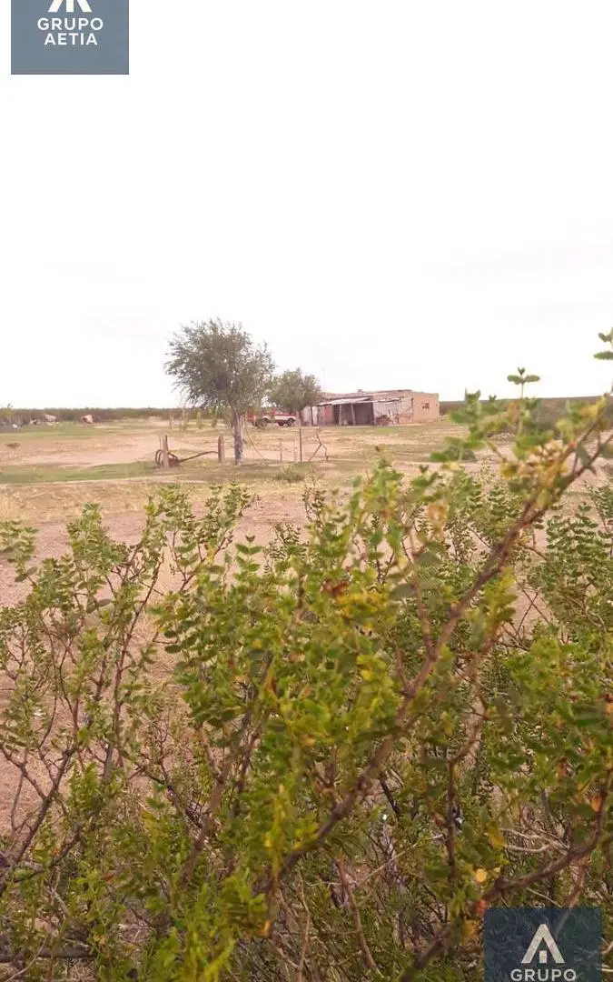 Terreno en El Cuy 3