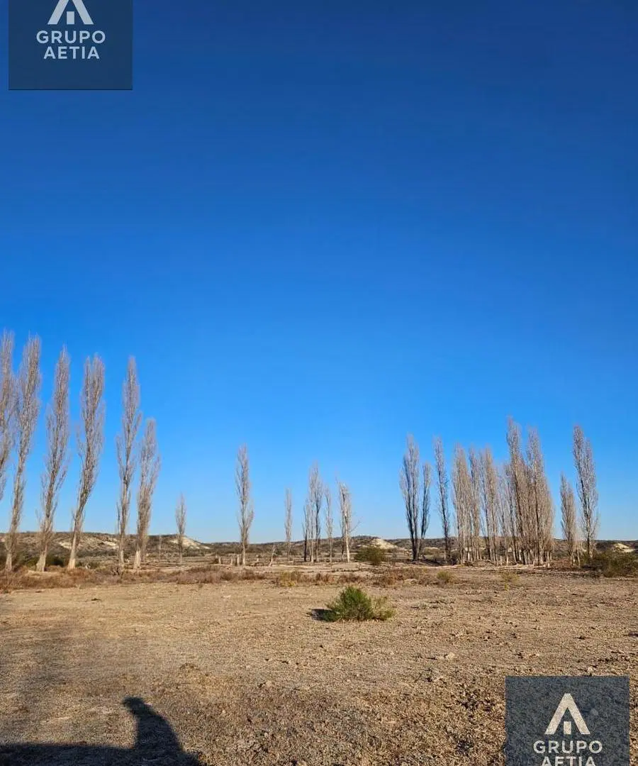 Terreno en Mainque 8