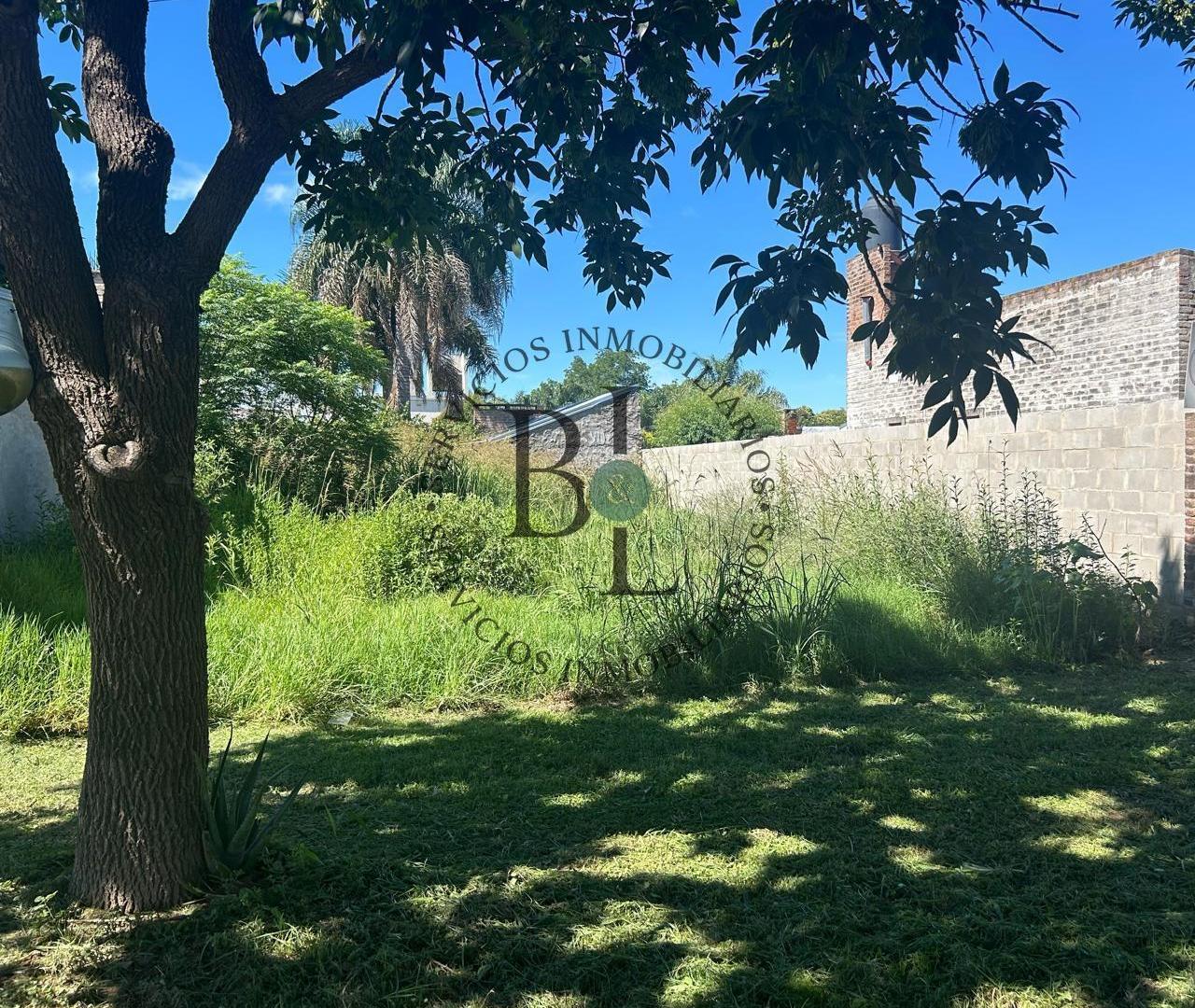 Foto de Terreno en Angel Gallardo, imagen 1