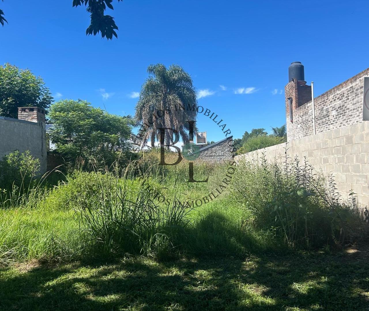 Foto de Terreno en Angel Gallardo, imagen 2