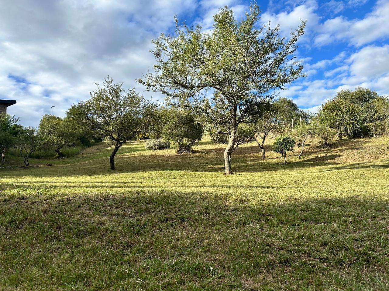 Foto de LOTE 1800M2 EN TIERRALTA COMARCA SERRANA, imagen 1