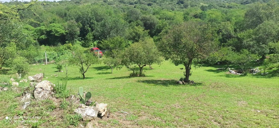 Foto de LOTE 1800M2 EN TIERRALTA COMARCA SERRANA, imagen 2