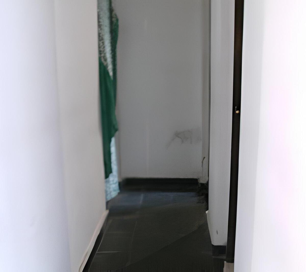 Foto de VENTA CASA CON GRAN TERRENO. BELGRANO 8550, imagen 4