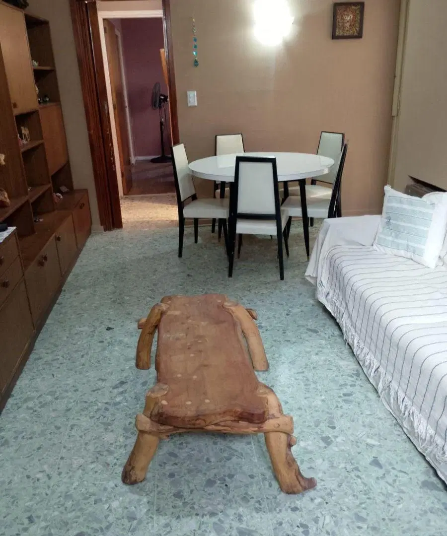 VENTA 2 AMBIENTES SOBRE PEATONAL SAN MARTIN 5