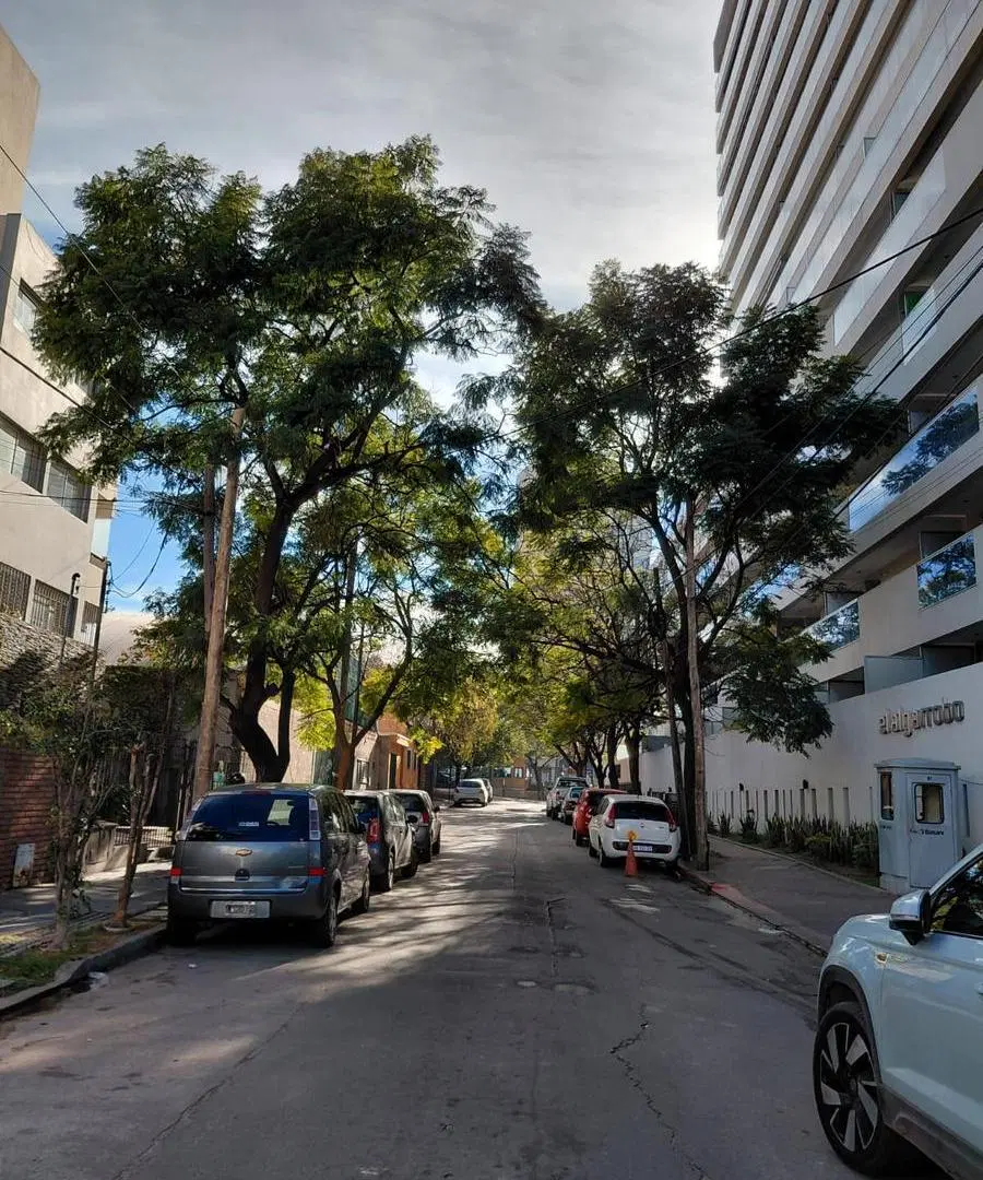 Departamento en Alquiler 1 Dormitorio con Balcón 8