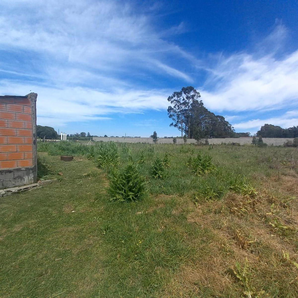 Foto de ZONA INDUSTRIAL, imagen 3