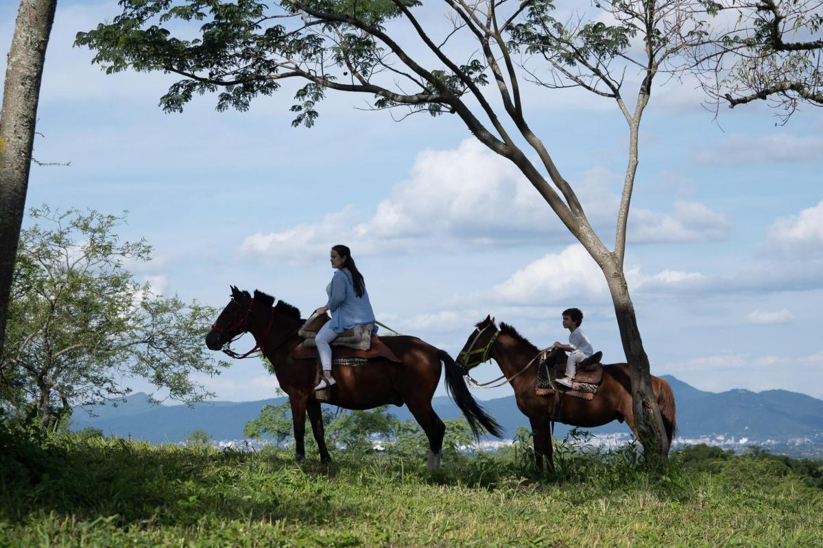 Quebrada de Los Nogales – Último Lote con Financiación y Entrega Inmediata ️ 2