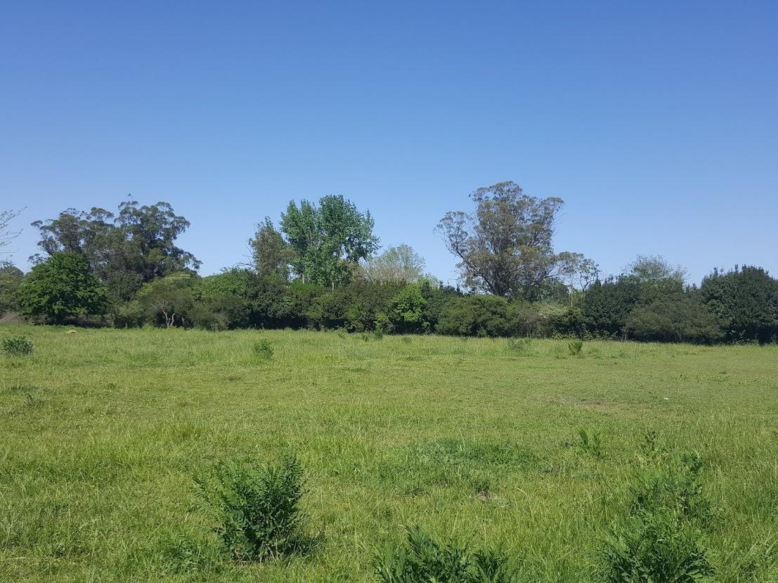 Venta de Lotes - Chascomús (Lote 15) 4