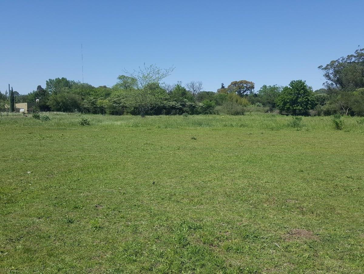 Venta de Lotes - Chascomús (Lote 15) 1