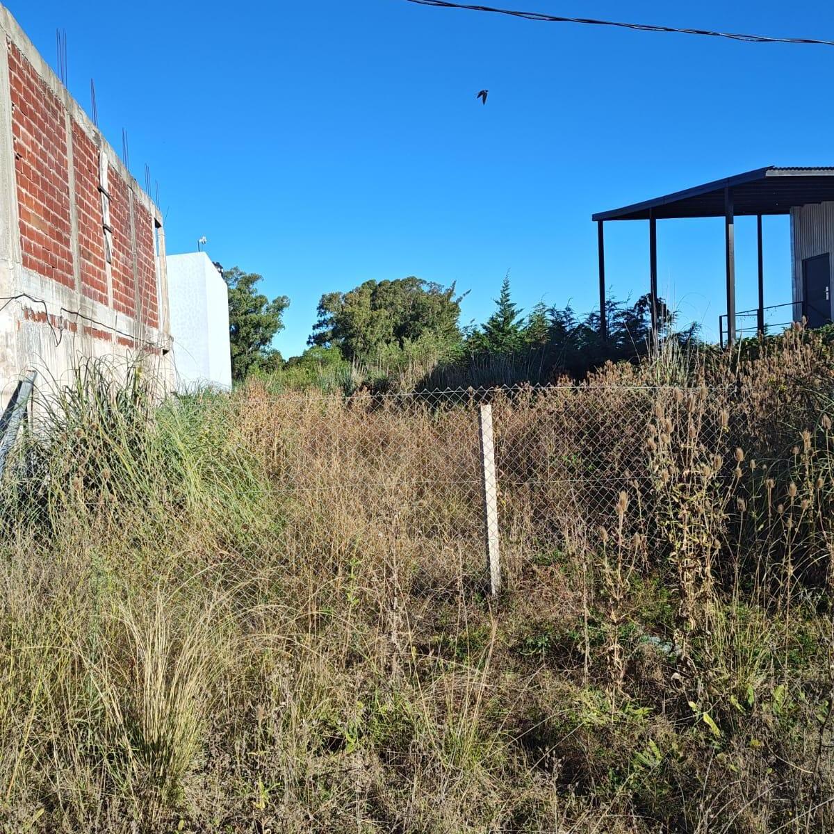 Lote en venta Los Talas calle 82 y Montevideo