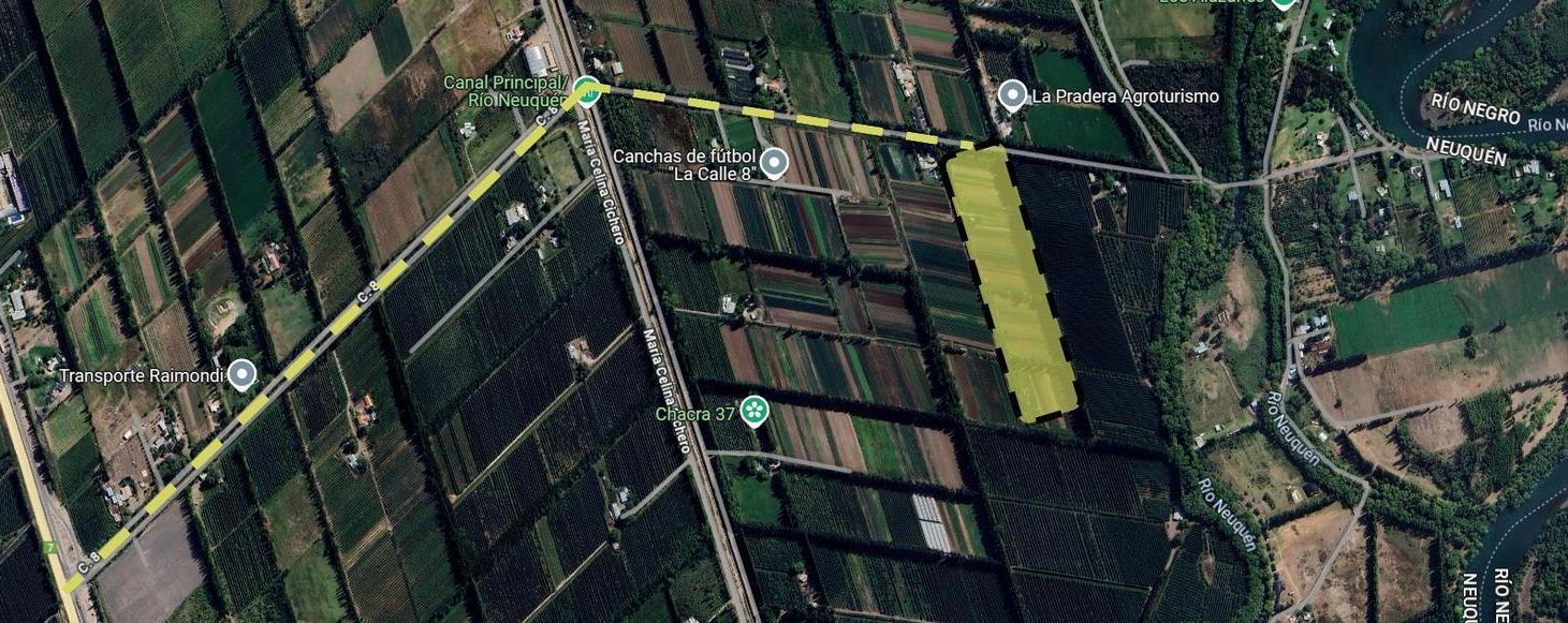 Foto de Venta de chacra productiva de 5 Has. en Centenario, imagen 2