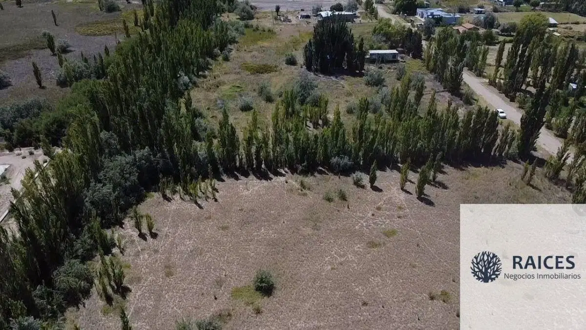 Terreno / Lote en venta de 11015.18m2 ubicado en Cipolletti 8