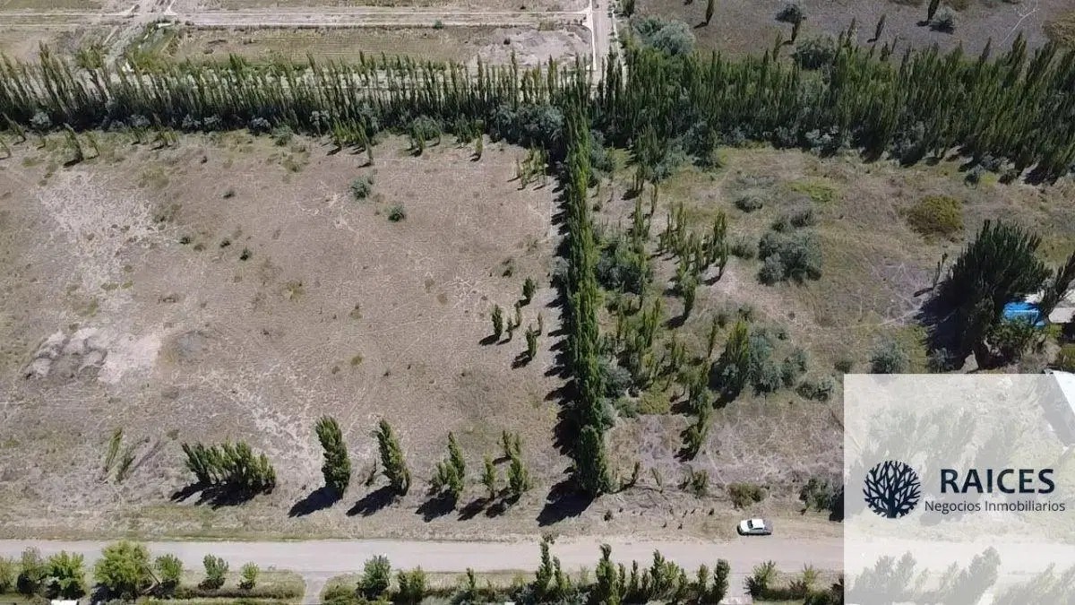 Terreno / Lote en venta de 11015.18m2 ubicado en Cipolletti 2