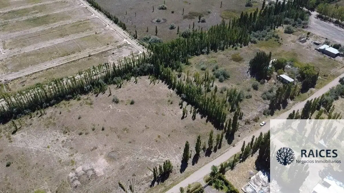 Terreno / Lote en venta de 11015.18m2 ubicado en Cipolletti 5