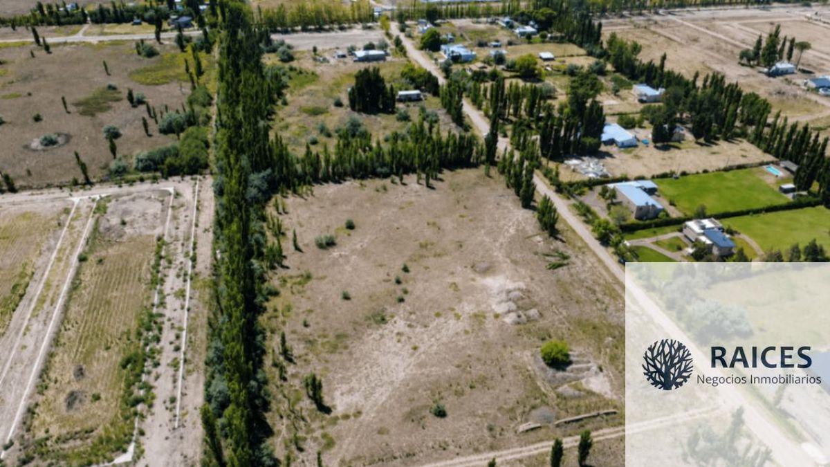 Foto de Terreno / Lote en venta de 11015m2 ubicado en Cipolletti, imagen 5