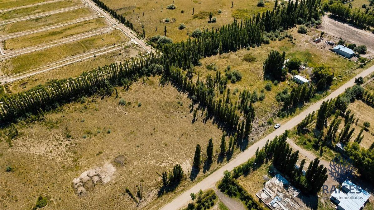 Foto de Chacra en venta de 11015m2 ubicado en Cipolletti, imagen 4