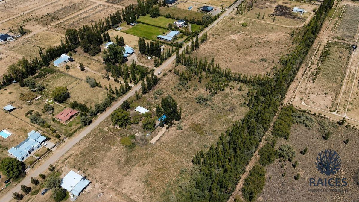 Foto de Chacra en venta de 11015m2 ubicado en Cipolletti, imagen 5