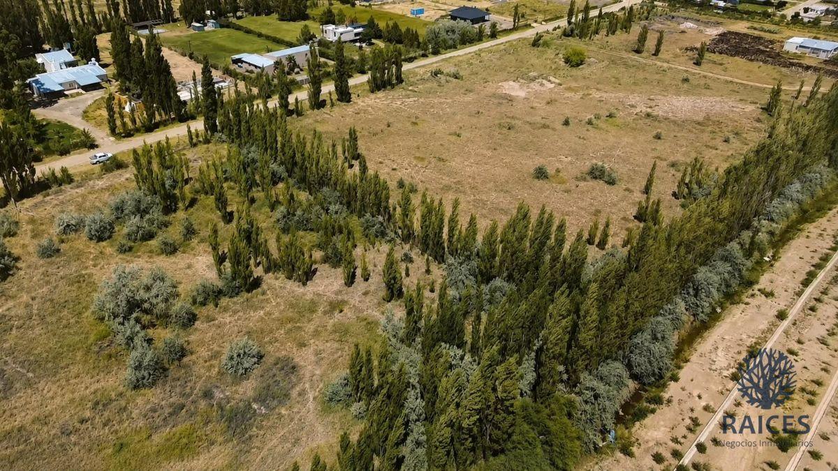Foto de Chacra en venta de 11015m2 ubicado en Cipolletti, imagen 3