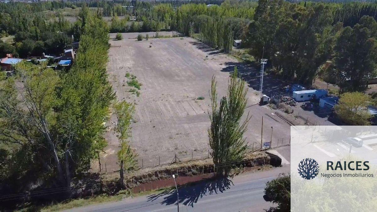 Foto de Base Operativa en Venta de 20000m2 - Plottier, imagen 5
