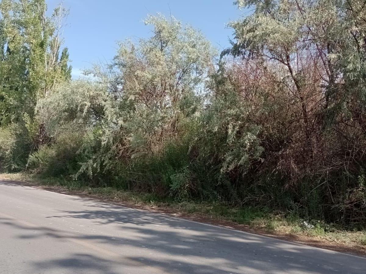 Rem Propiedades Vende Lote en Rodeo de La Cruz 3
