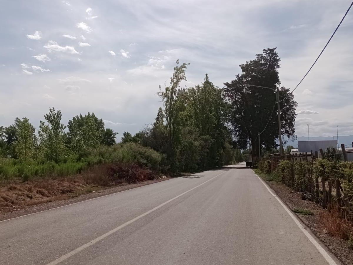Rem Propiedades Vende Lote en Rodeo de La Cruz 2