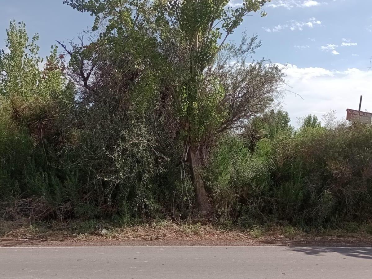 Rem Propiedades Vende Lote en Rodeo de La Cruz 5