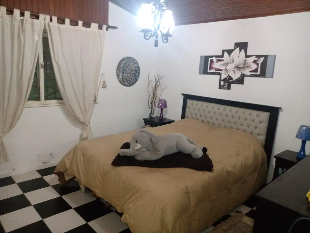 EXCELENTE CASA CALIFORNIANA - CON CASA PARA HUESPEDES - TERRENO INMENSAMENTE GRANDE - CON PILETA 1