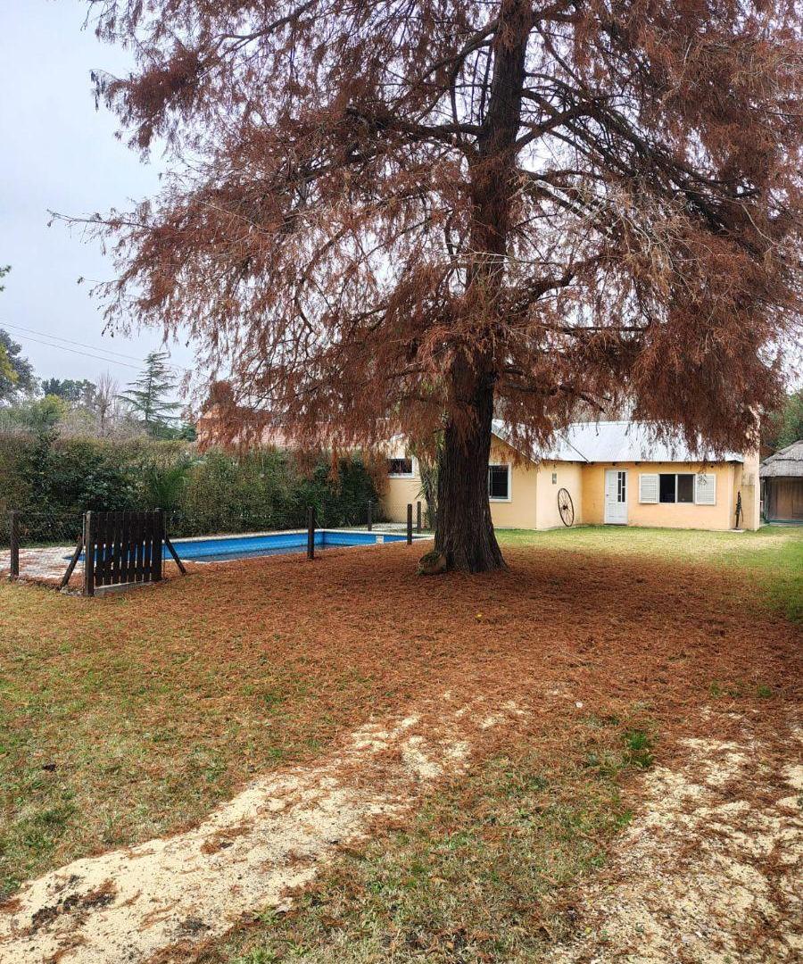Foto de CASA QUINTA BARRIO TORTUGUITAS -ALEGRE COLOR AMARILLO - CON PISCINA EN EXCELENTE ESTADO, imagen 3