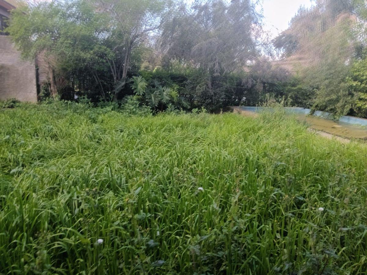 Foto de CASA A REFACCIONAR COMPLETA, VALOR LOTE, PARQUE ALVEAR UN, TORTUGUITAS, imagen 4