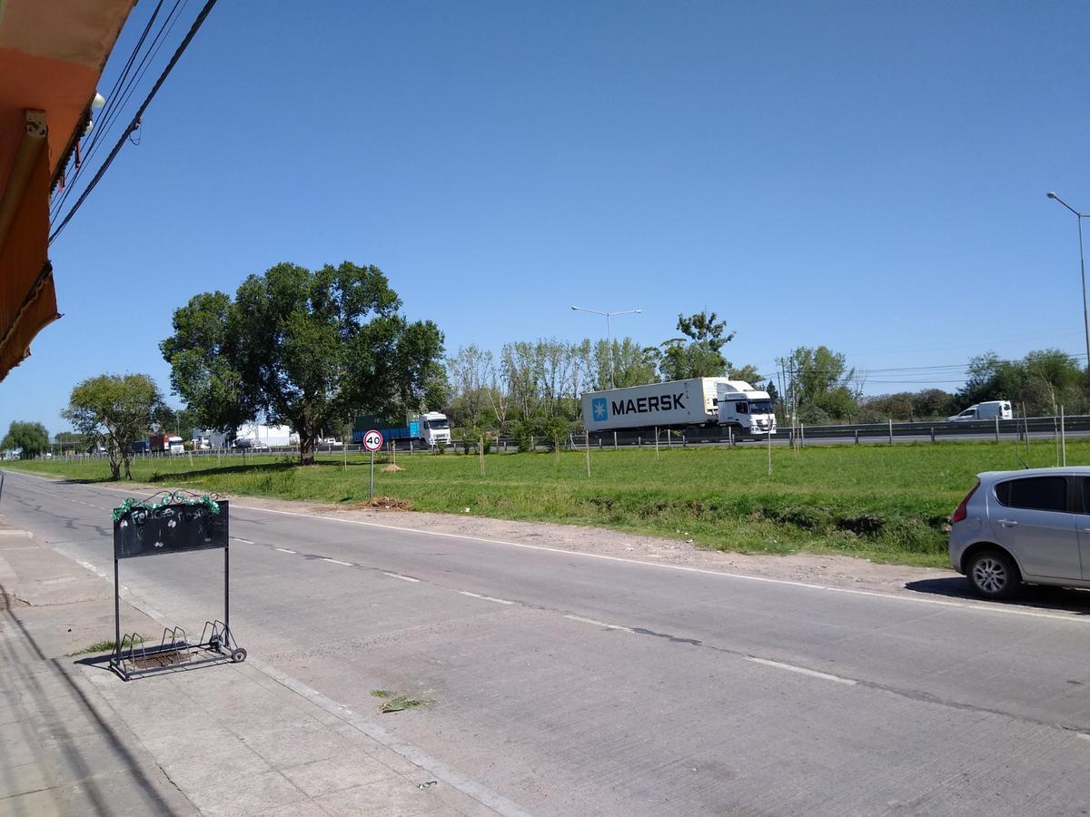 Local - Loma Verde