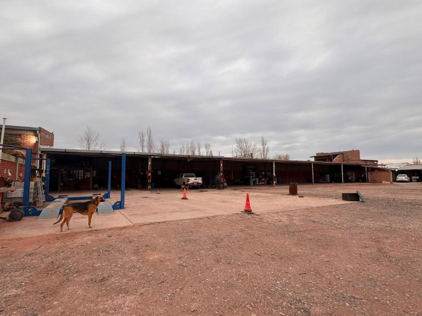 Foto de Vende terreno sobre ruta, apto desarrollo., imagen 2