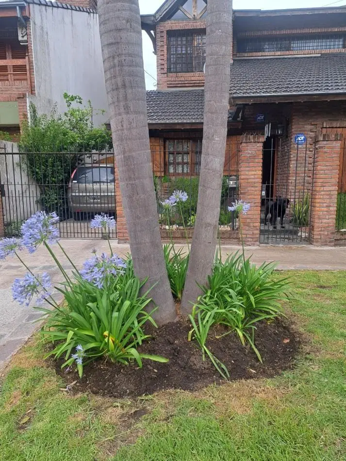 CHALET 5 AMBIENTES - APTO CREDITO ! 5