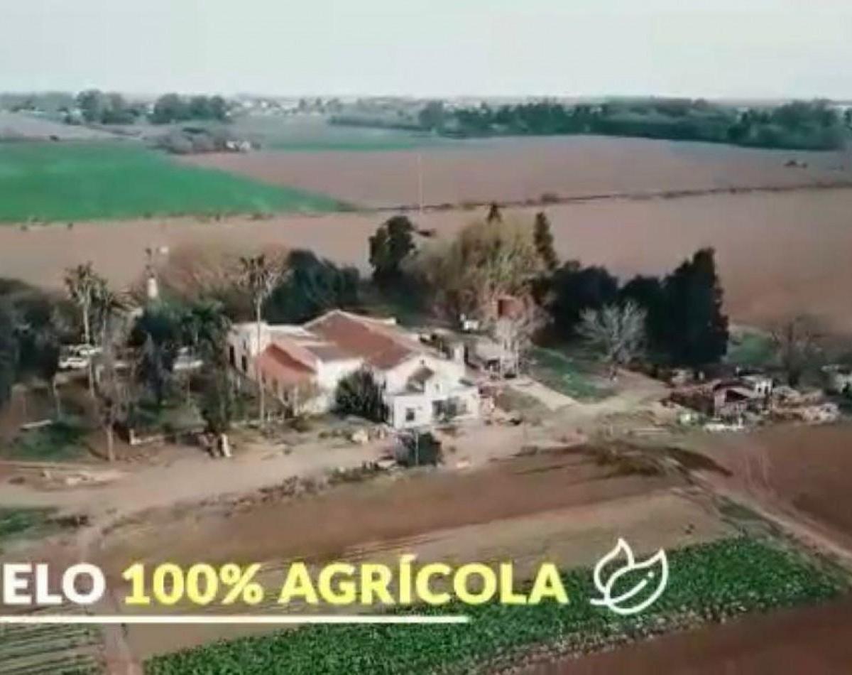 Campo 40 Has en San Nicolas 3