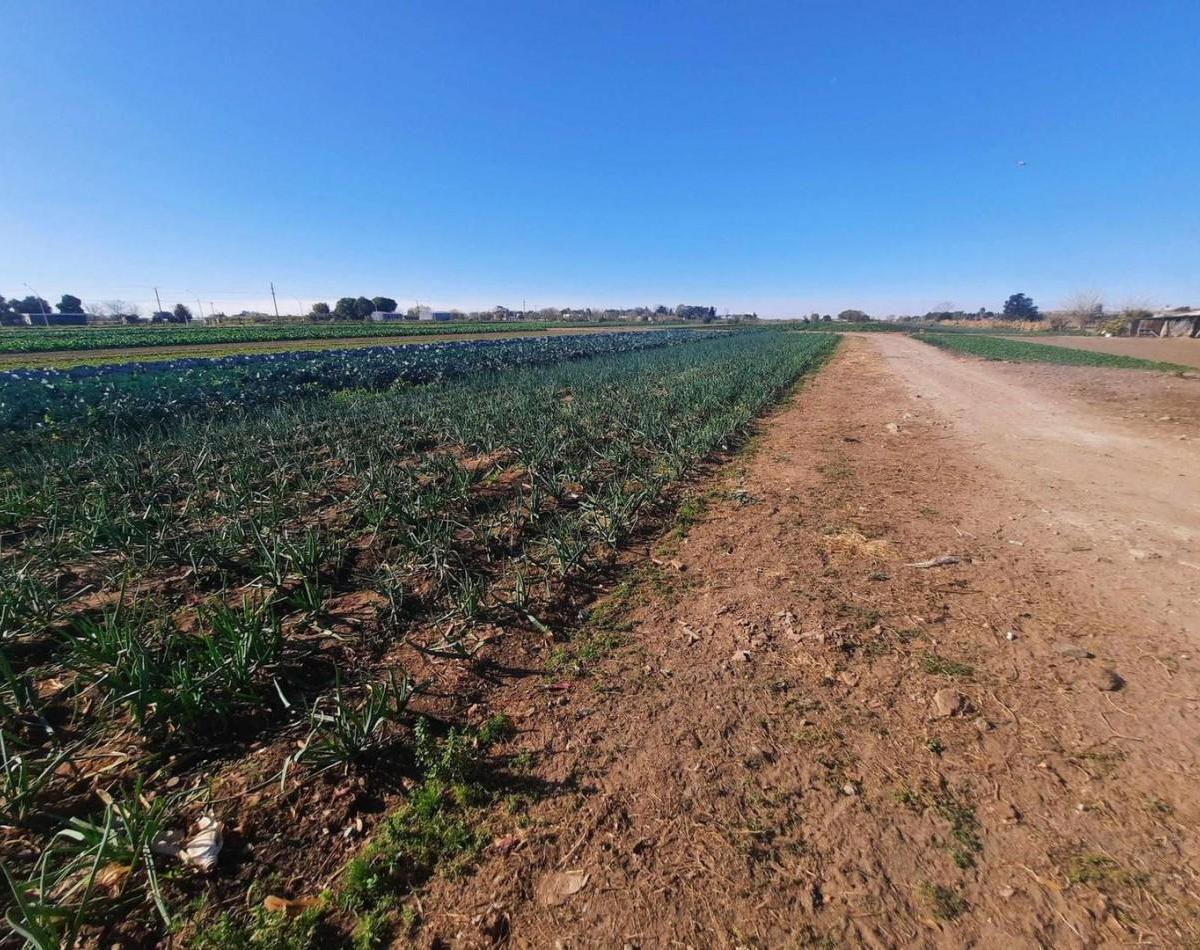 Terreno 2.4 Has en Villa Gobernador Galvez 3