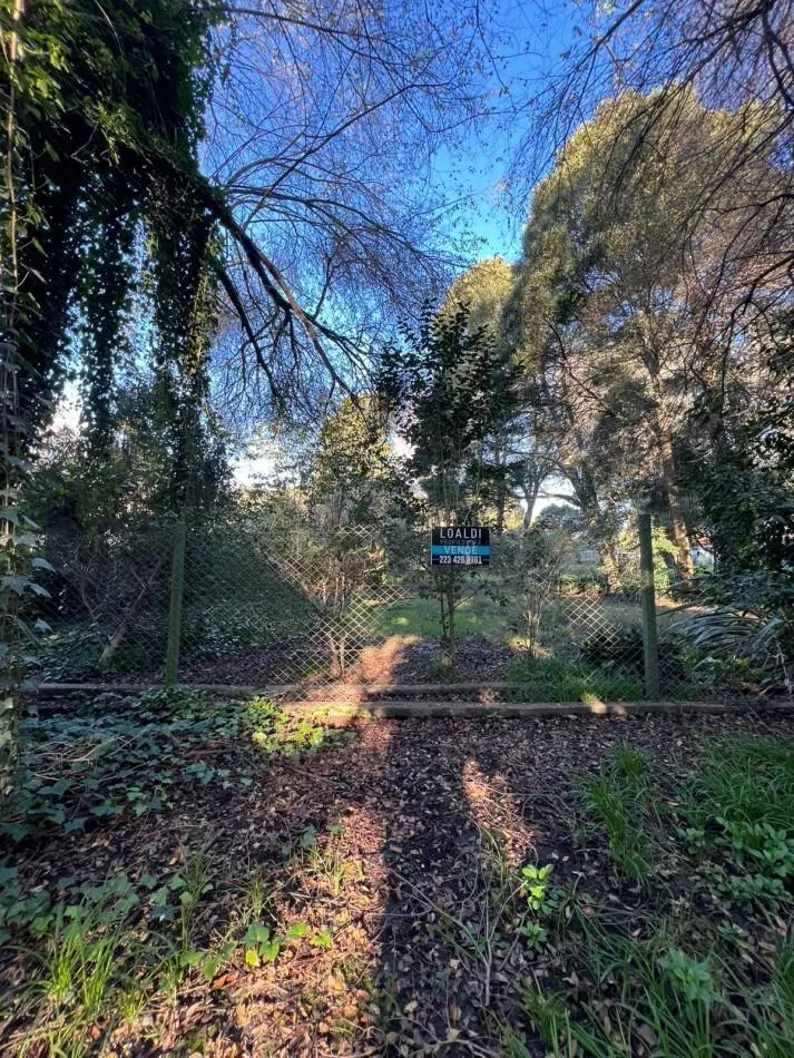TERRENO EN VENTA COLINA ALEGRE 4
