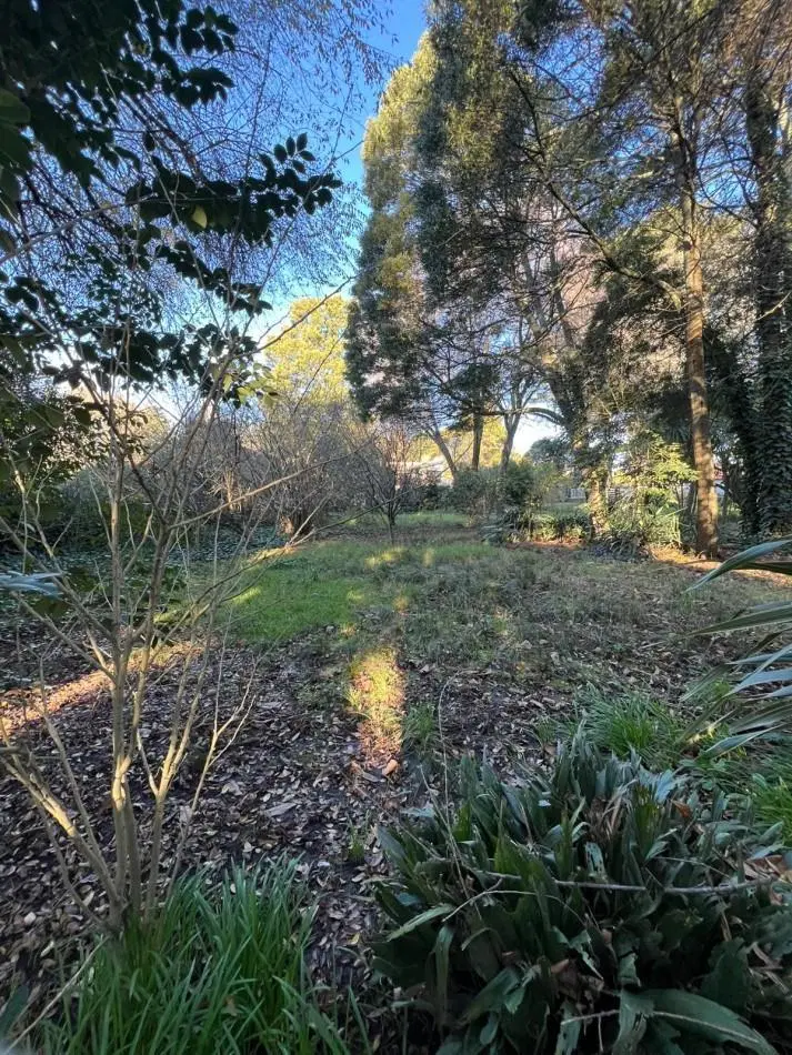 TERRENO EN VENTA COLINA ALEGRE 6