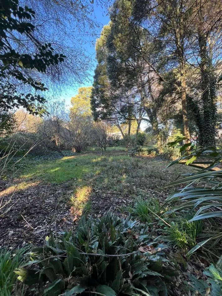 TERRENO EN VENTA COLINA ALEGRE 5