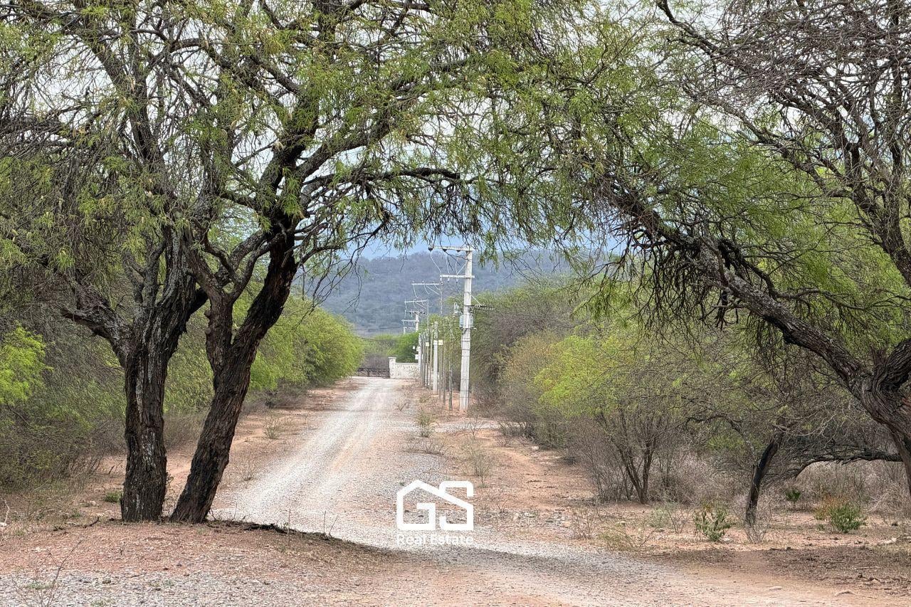 Foto de Terreno en Dique Cabra Corral, imagen 4